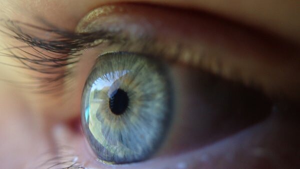 元宇宙之眼 Meta机械仿生眼专利曝光 还要装在仿生人体内
