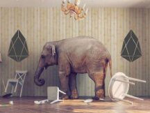 房间里的大象：关于NFT那些绕不开的问题