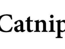 V神推荐新预测应用Catnip DeFi又一创新领域