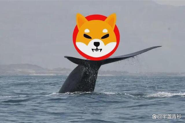 柴犬(SHIB)鲸鱼交易量超过 6100 万美元，累积量上升