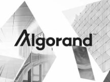 Algorand去中心化治理：一场链上治理的「文艺复兴」