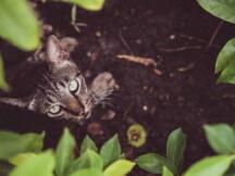 “DeFi农民”VC的百万美元失而复得历险记