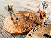 推荐纸杯猫和Fantom？Andre Cronje在NFT领域里的推荐值得参与吗？