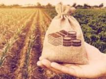 DeFi生态系统迅速发展 上月代币总市值增长了3倍