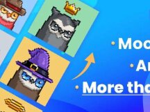 数据解析Moonbirds：地板价飞涨背后的因素