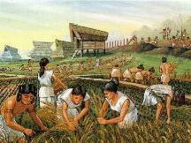 古代农业发展对如今的DeFi变革有哪些启示？