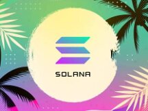 Solana熊市团结开发者的姿势：兼容EVM 拉新开发者
