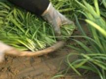 车子才刚刚启动，坐稳扶好