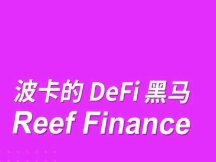 对话Denko：波卡的DeFi黑马—Reef Finance