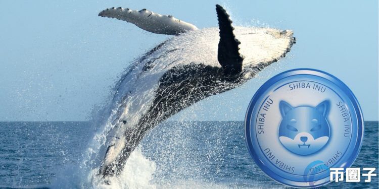 巨鲸砸千万美元大买柴犬币！40兆枚SHIB移动 Kraken或上屎币