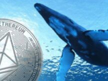 Ethereum's Top 10 Giant Whales are ahead of the exchange, and our investment will be $ 56 million in ETH.