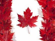 币安正式退出加拿大市场，称希望与加拿大监管机构合作