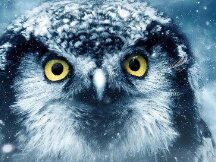 成为Uniswap的LP到底是亏还是赚？