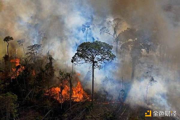 为拯救亚马逊雨林 环保NFT不到一个小时竟被抢购一空