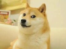 关注！NFT领域正在发生的7大趋势