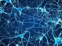 投资DeFi项目的正确姿势