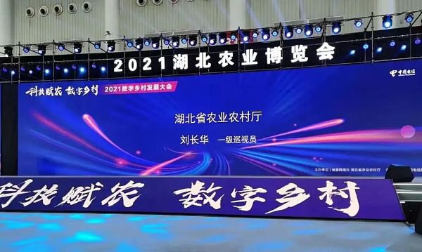 湖北省打造全球第一个元宇宙“灵境”乡村