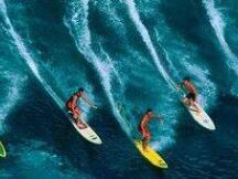 BTC一天跌1万美元，牛市多暴跌