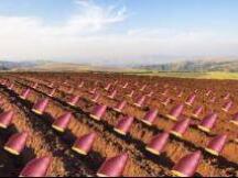 高额以太坊矿工费让各位 DeFi 潮流农民变成打工仔