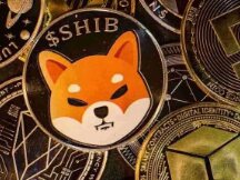 Robinhood上市后，Shiba Inu（SHIB）股价上涨20%