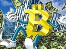 比特币行情，暴跌之后何去何从