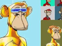 Bored Ape Yacht Club 创下5.42亿美元的累积销售额，BAYC创作者将在2022年第一季度推出代币