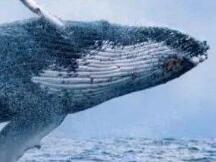 以太坊鲸鱼太任性？他花了1800万美元将Uniswap ETH价格推到450美元