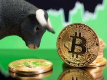 牛市的假摔过后如何再上车