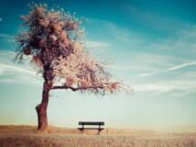 1月份的行情重演，比特币日内跌幅超过10%