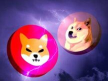 风投Egirl Capital：那些一文不值的东西，MEME反而是它的全部