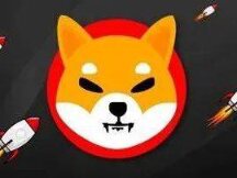 Why this year (SHIB) increased by more than 100,000,000%