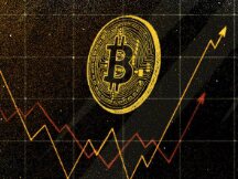 为什么所有的Memecoins都在上涨？你应该投资吗？