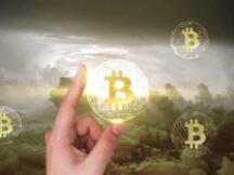 牛市还能继续吗？盘整期巨鲸、散户、机构、长期持有者都在如何操作