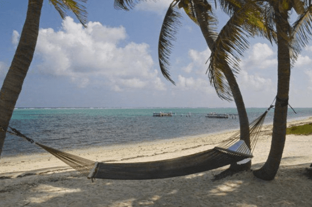 开曼群岛：区块链公司的避风港？