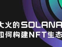 公链新秀Solana在NFT板块上的初步形态