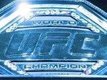 乐高集团与Epic游戏公司合作，UFC 向顶级拳手支付比特币奖励