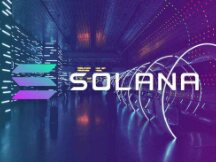 两手都抓，是否都硬？Solana上DeFi和NFT的头部项目