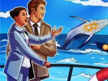 在最近的市场混乱中，比特币鲸鱼囤积了122588枚BTC