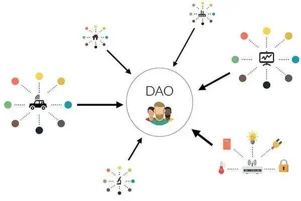 投资型DAO会成为高利润回报的新途径吗？