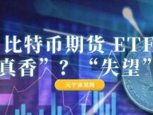 Bitcoin Futures ETFs "True Scent" and "Deception" Coexist?