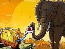 非洲加密市场自2020年以来增长超过1200%