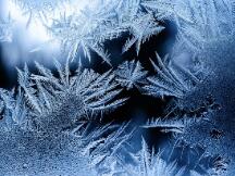 提前「入冬」的收益会将DeFi生态带入死亡螺旋吗？