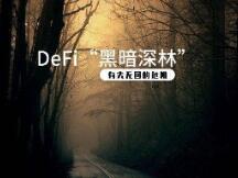 DeFi“黑暗深林”：有去无回的危机