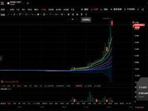 疯狂的狗狗币：一夜暴涨4倍，到底发生了什么？