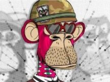 NFT是个什么局？来自“无聊猿”三万条交易记录的启示