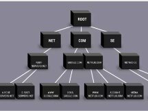 Flare Network与dWeb基金会达成合作关系