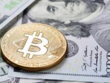 灰度投资现在控制了目前比特币供应量的近3％