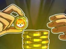 Robinhood COO praises Shiba Inu Coin, which has 1.6 million crypto wallet users on hold.