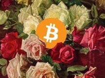 目前依然是反弹，不是反转，需认清当下局势