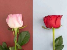 七夕遇上区块链 全世界都是我们的见证人